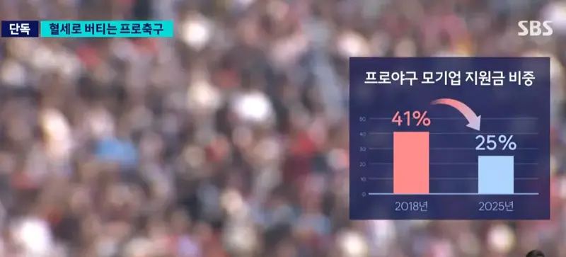 혈세로 버티는 프로축구 (8)
