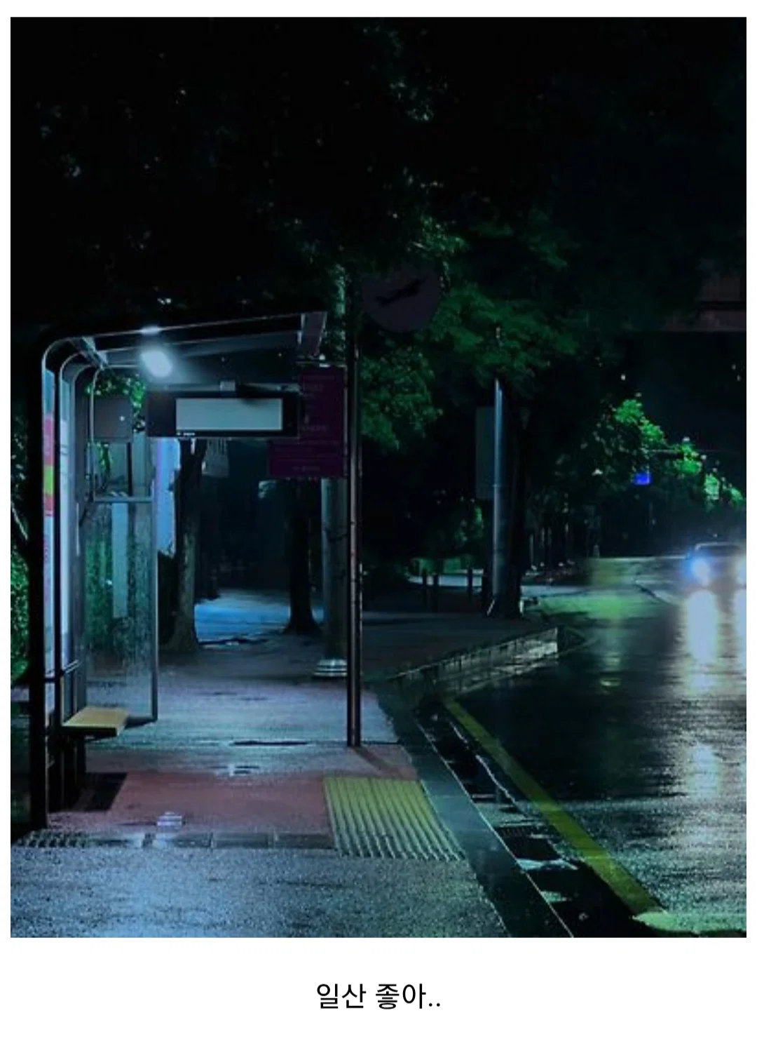 일산 이사오고나서 이국적인 동네 풍경에 만족이되서 해외를 나가고싶은 욕망이 사라짐 진짜 외국같다 (11)