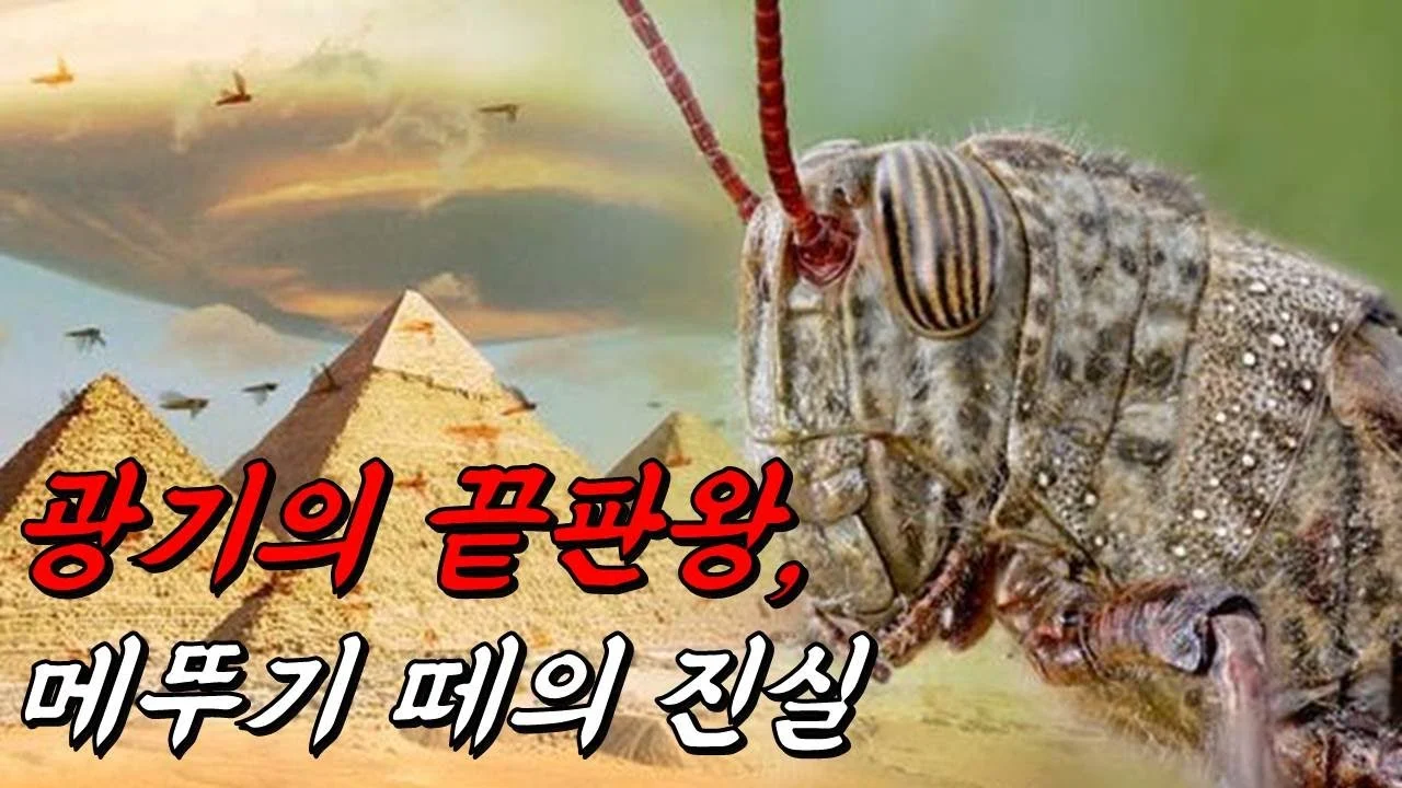무슬림은 메뚜기와 같다. (2)