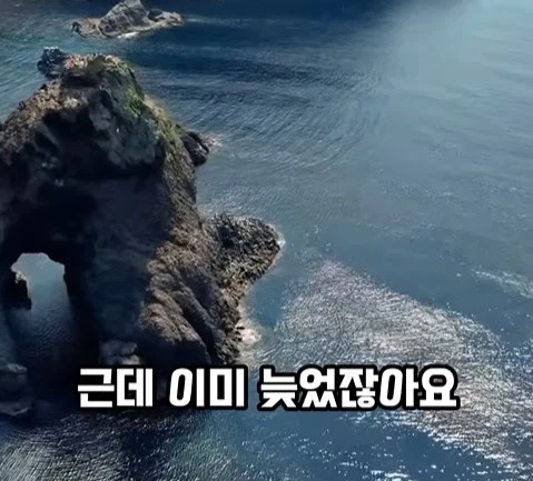 BTS의 국위선양, 이런 게 국위선양이지. (26)