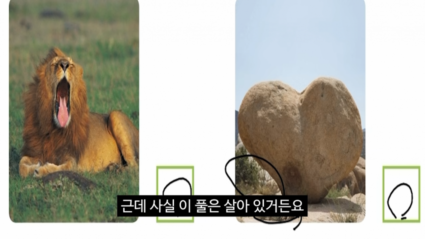구몬 학습지 홍보한 김선태 근황. (17)