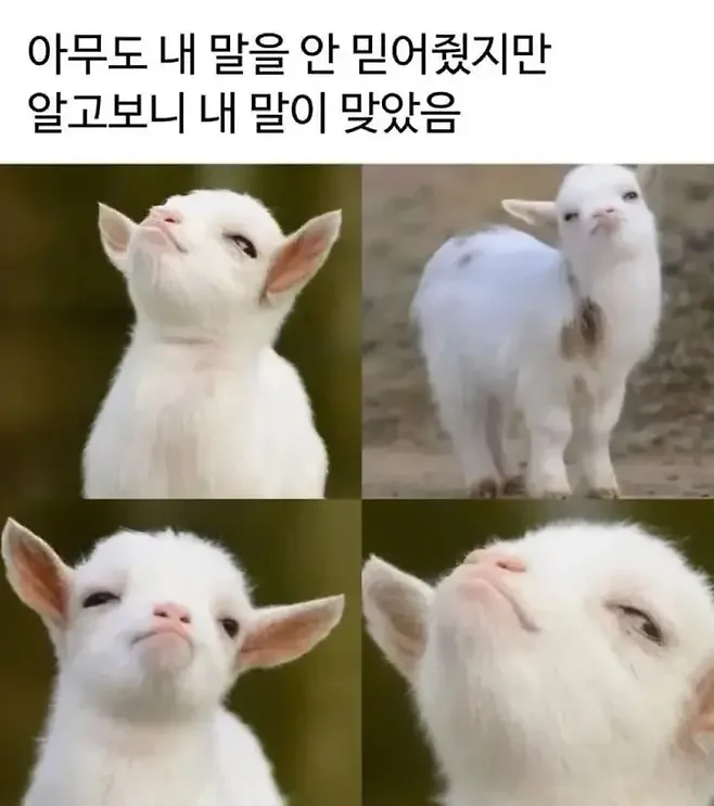 아무도 안믿었는데 결국 내 말이 맞았을 때 ㅋㅋㅋ