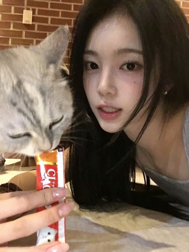오늘 생일인 하츠투하츠 이안 (3)