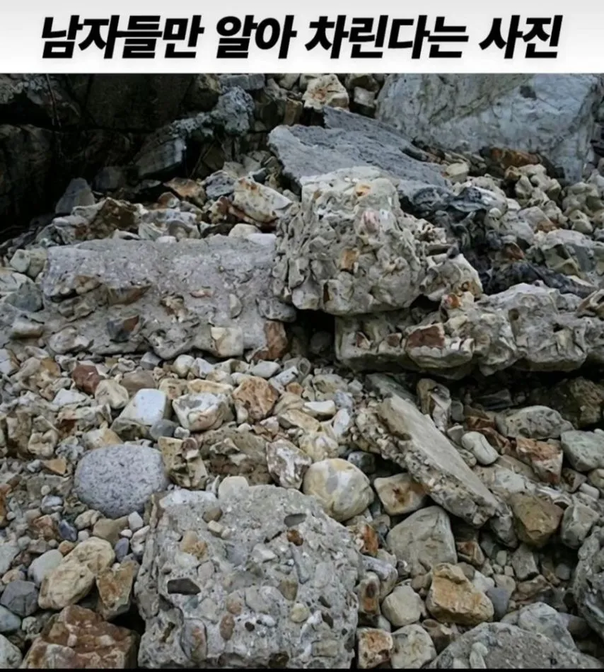 남자들만 알아 차린다는 사진