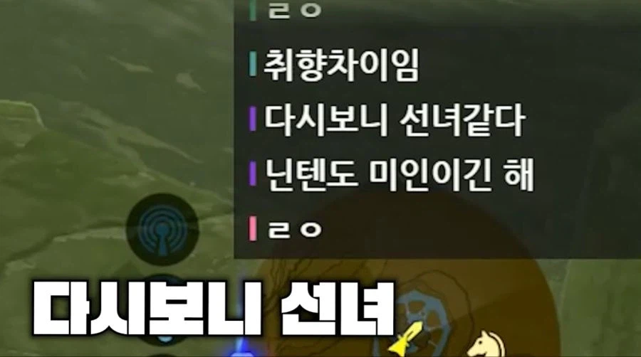 젤다가 못 생겼단 의견에 일침하는 스트리머 (8)