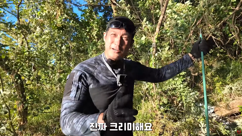 혐주의) 산왕거미를 생으로 먹어버린다는 국내 유튜버 (11)