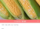 초당옥수수 10개 특품 (14cm이상)
