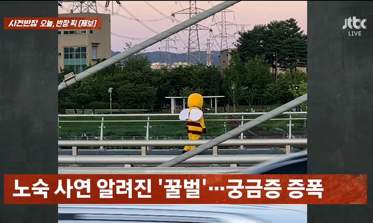 사건반장에 나온 꿀벌 복장 입는 이유 (4)
