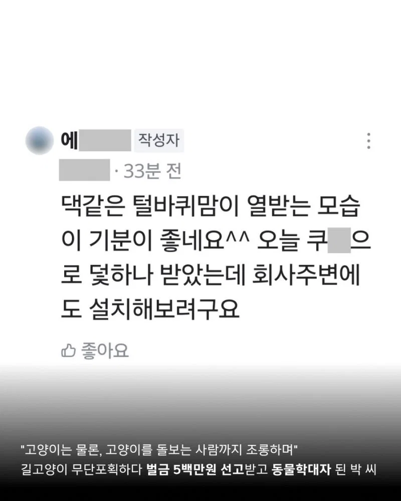 길고양이 갯벌에 무단 방사해서 익사시키고 캣맘 조롱한 남성 동물학대죄 인정 받음 (12)
