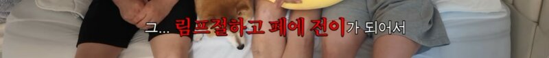 갑작스런 대장암 4기 진단.. (5)