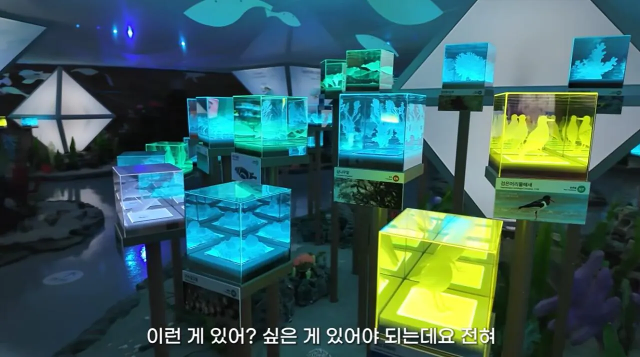 여수국제 섬박람회에 갔다가 실망한 유튜버 (21)