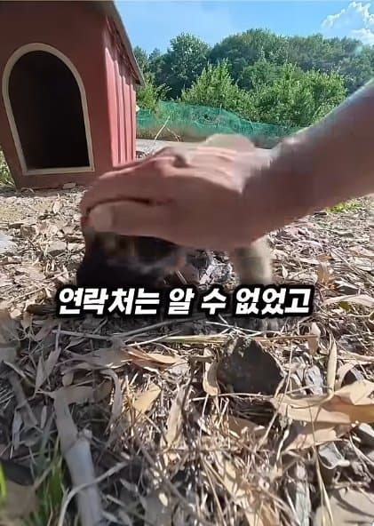 조회수1500만 견주 허락 없이 1개월 아기 강아지 그늘막 설치 사연, (18)