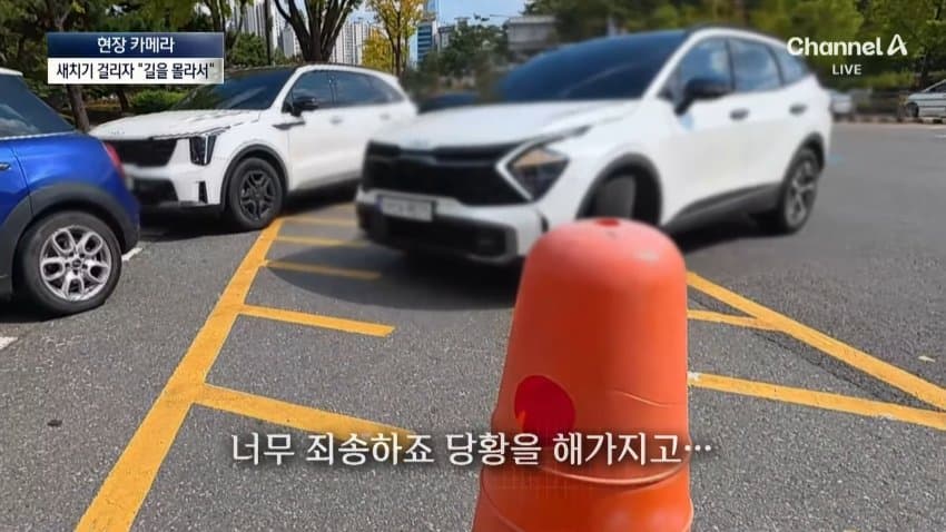채널a) 차 머리부터 '쑥'..야구장 앞 얌체들 (12)