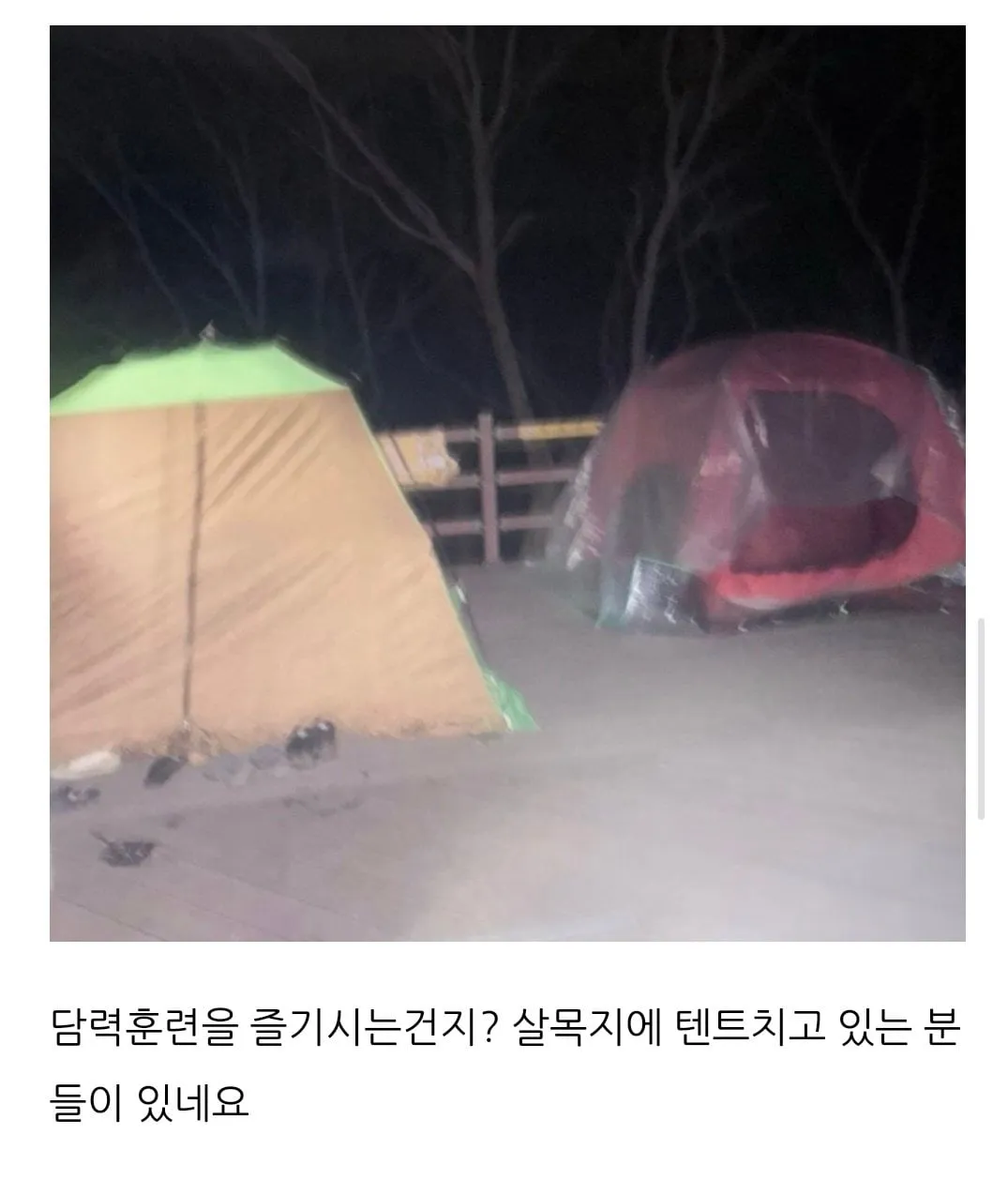 요즘 핫플레이스 살목지 찐광기의 후기 ㄷㄷㄷ;;;