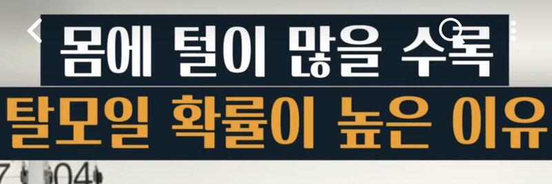 몸에 털이 많을수록 탈모일 확률이 높다네요