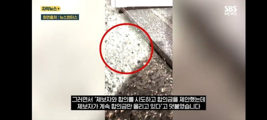 보관이사 맡겼다가 곰팡이, 벌레로 가구 다 망가진 제보자 (26)