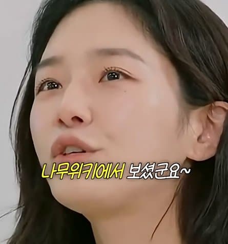 사실 루머공장이라는 나무위키 (48)
