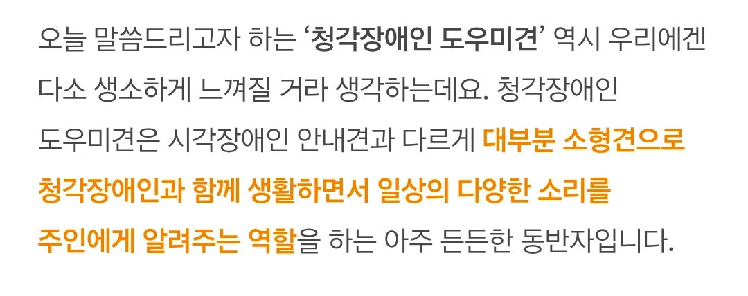 청각장애인 보조견을 처음 본 버스기사