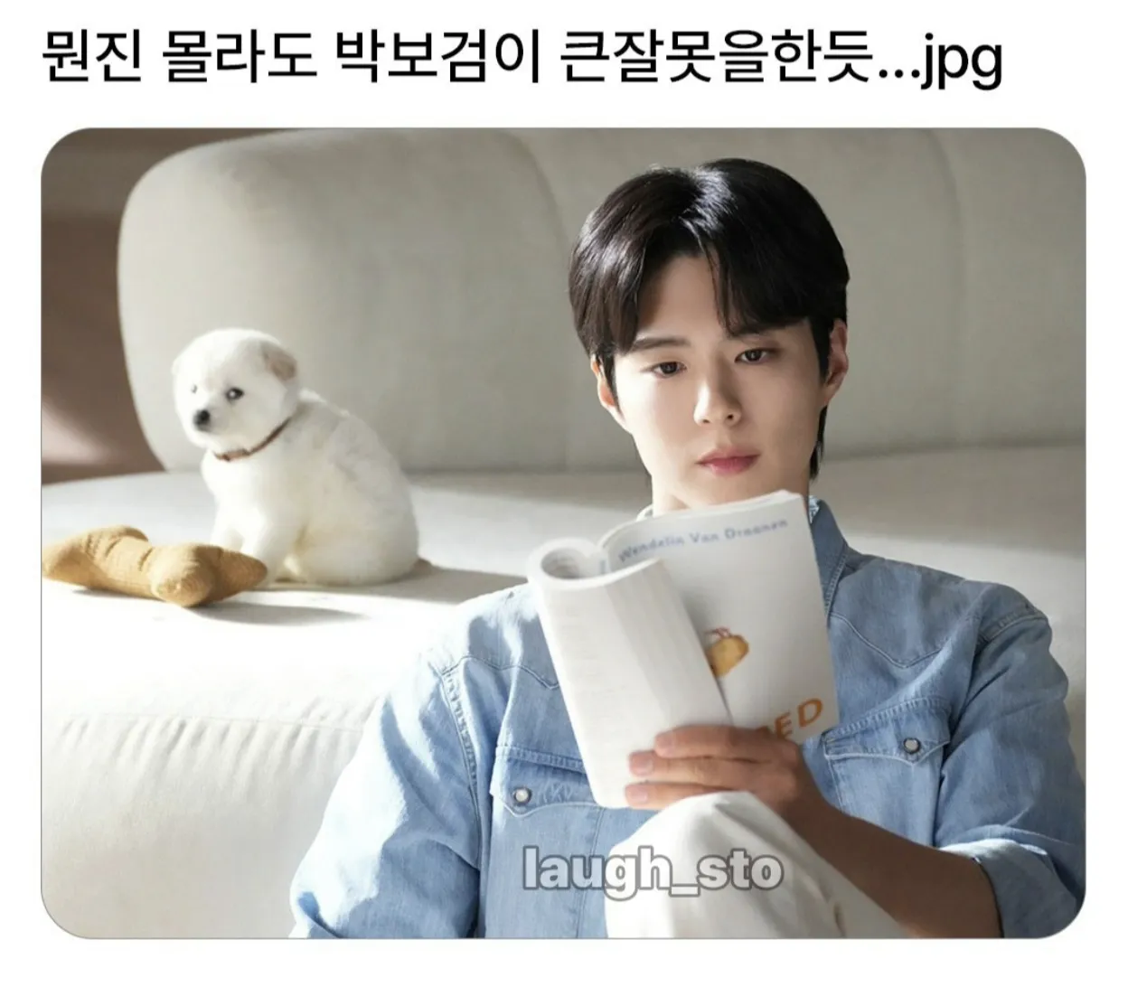 뭔진 몰라도 박보검이 큰 잘못을한듯..