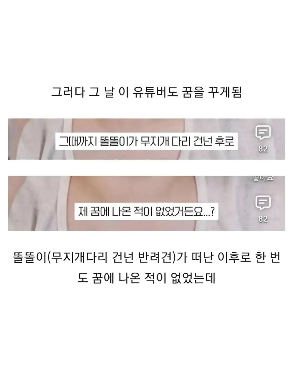 세상 떠난 반려견이 딸로 돌아온거 같다는 유튜버 (6)