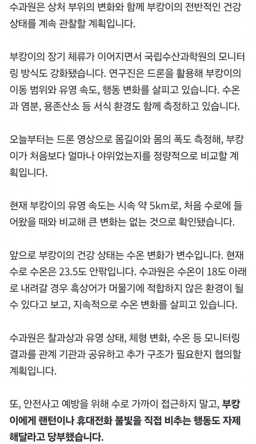 싱글벙글 부캉이 근황 (6)