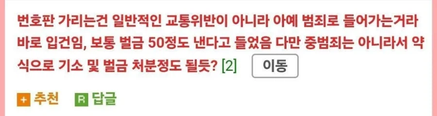 난 번호판가림 신고만 했을뿐인데 일이 커진거 같음 (3)