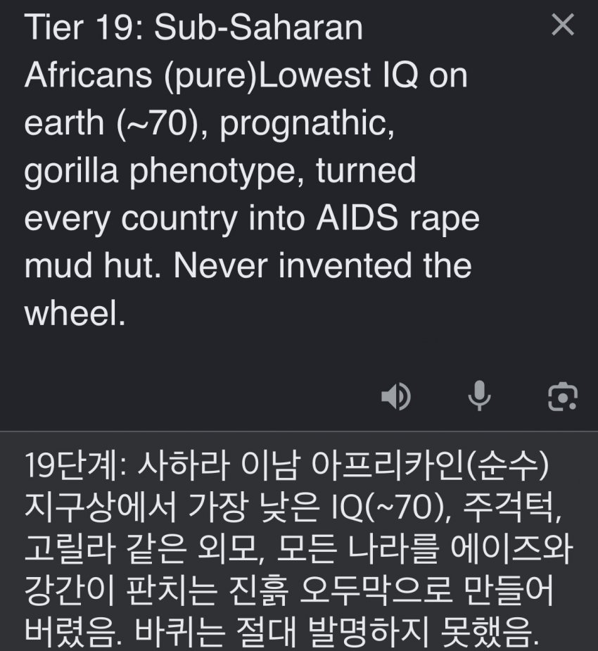서양 커뮤에서 만든 인종 순위 20단계 (7)