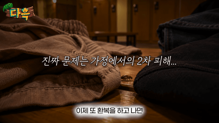 오싹오싹 부산 찜질방에 출몰해서 난리난 빈대(베드버그)상황 (45)