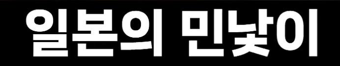 일본 (68)