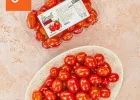 스테비아 방울토마토 2kg