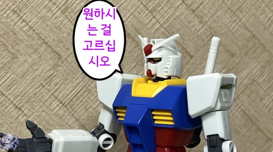 건담을 사고 싶다면 질문에 대답해주세요 (13)