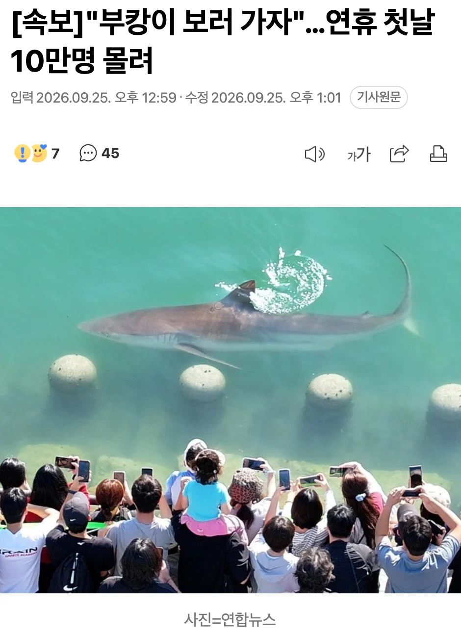 🦈  [속보] 부산 상어 보러 연휴 첫날 10만명 몰렸다  🏃 🏃‍♀️ 🏃‍♂️
