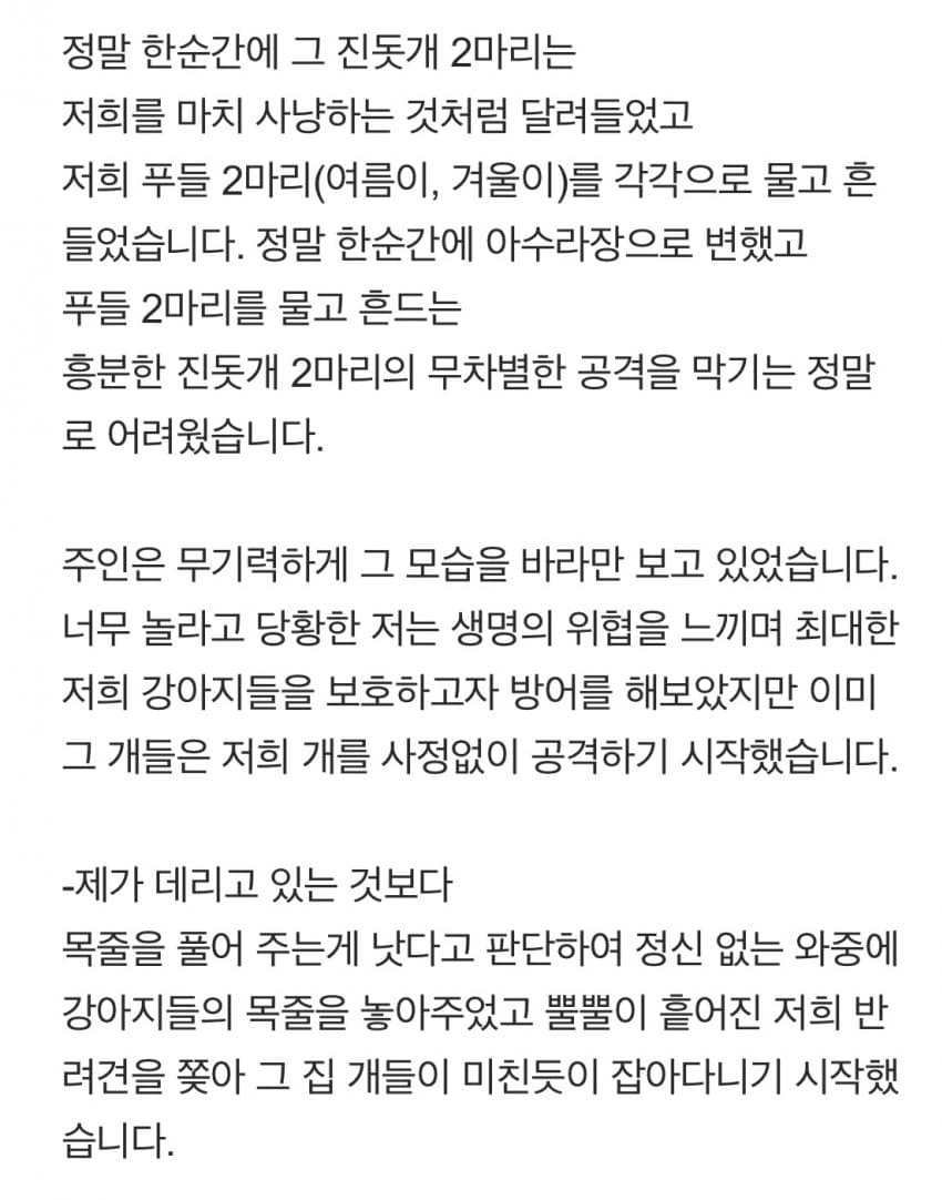안싱글벙글 개물림 사고(강아지사망) 당했습니다 (3)