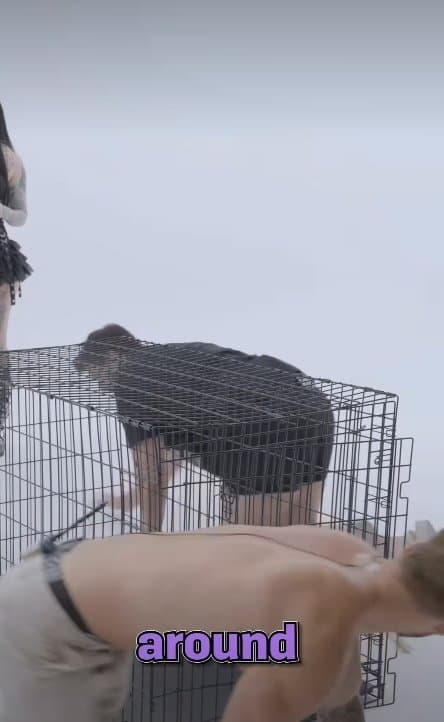 ㅇㅎ)동양 vs 서양. 엉덩이가 커져서 요즘 레깅스가 불편하다는 미녀 (26)