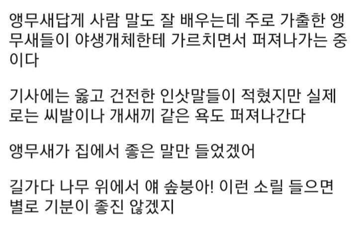 싱글벙글 플라잉스마트단또들에게 지배받는 호주 (7)