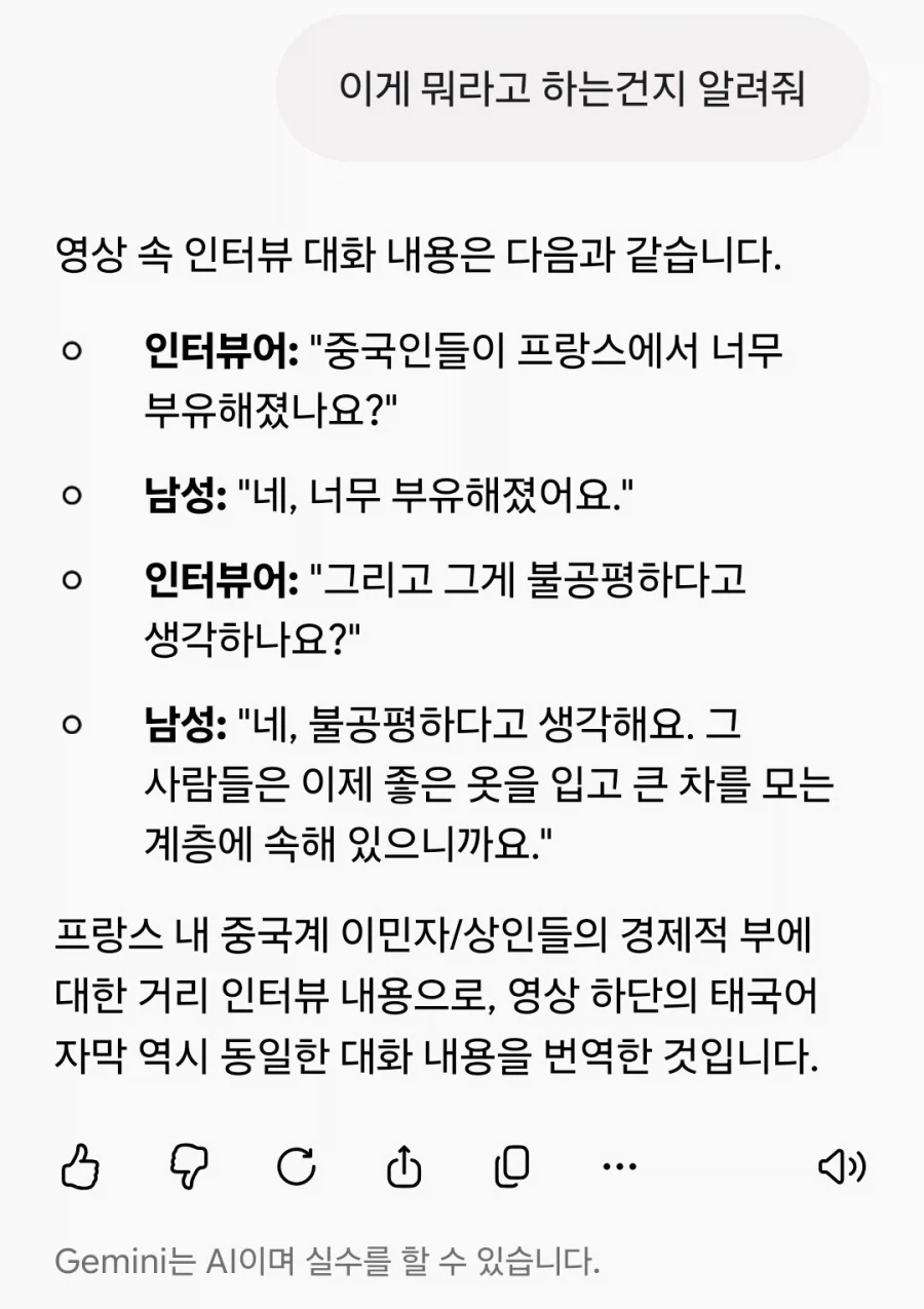 프랑스 폭도들이 중국인 상점을 턴 이유