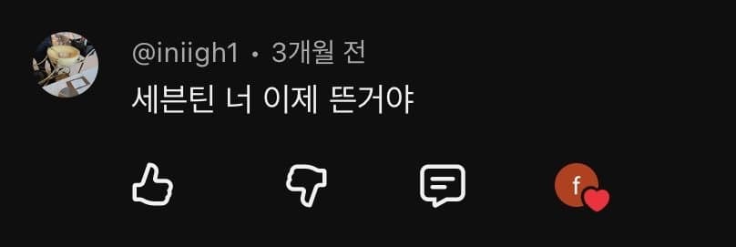 민심 돌아서게 만든 리센느 일부 팬들 댓글들 (3)