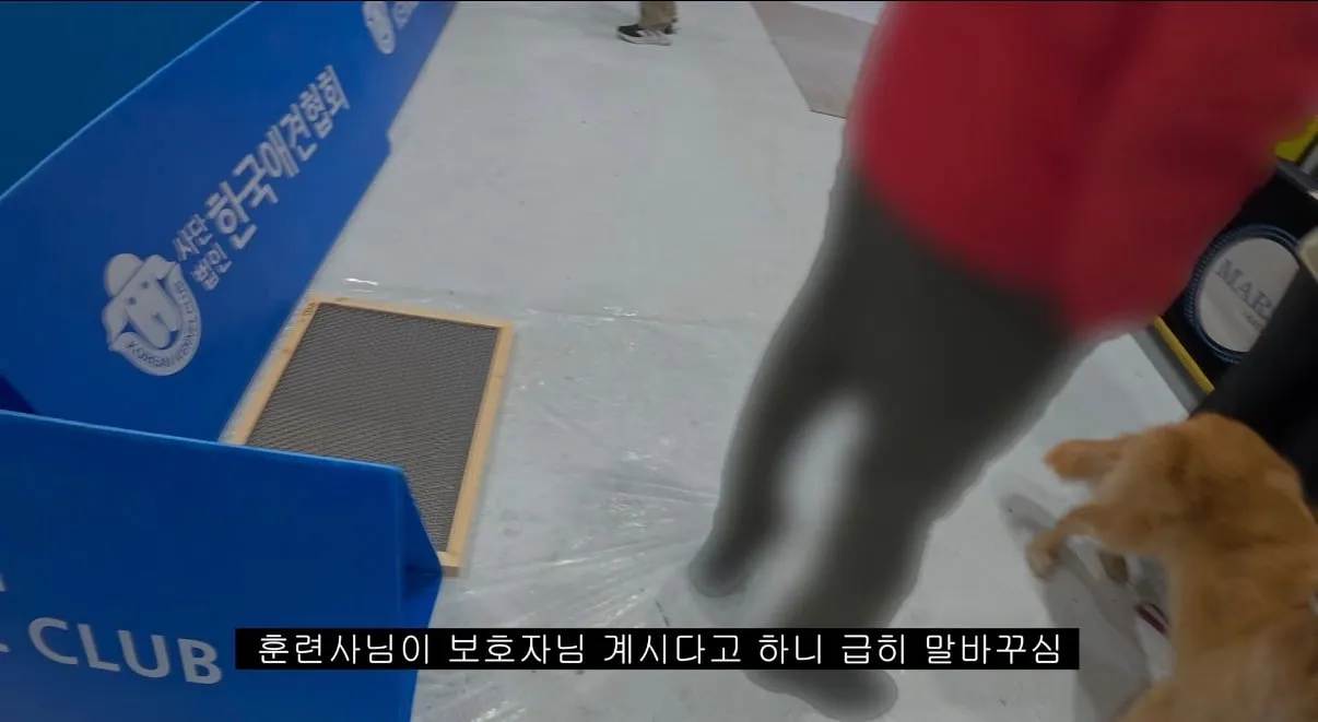 오늘자 도그쇼 협회관계자 망언