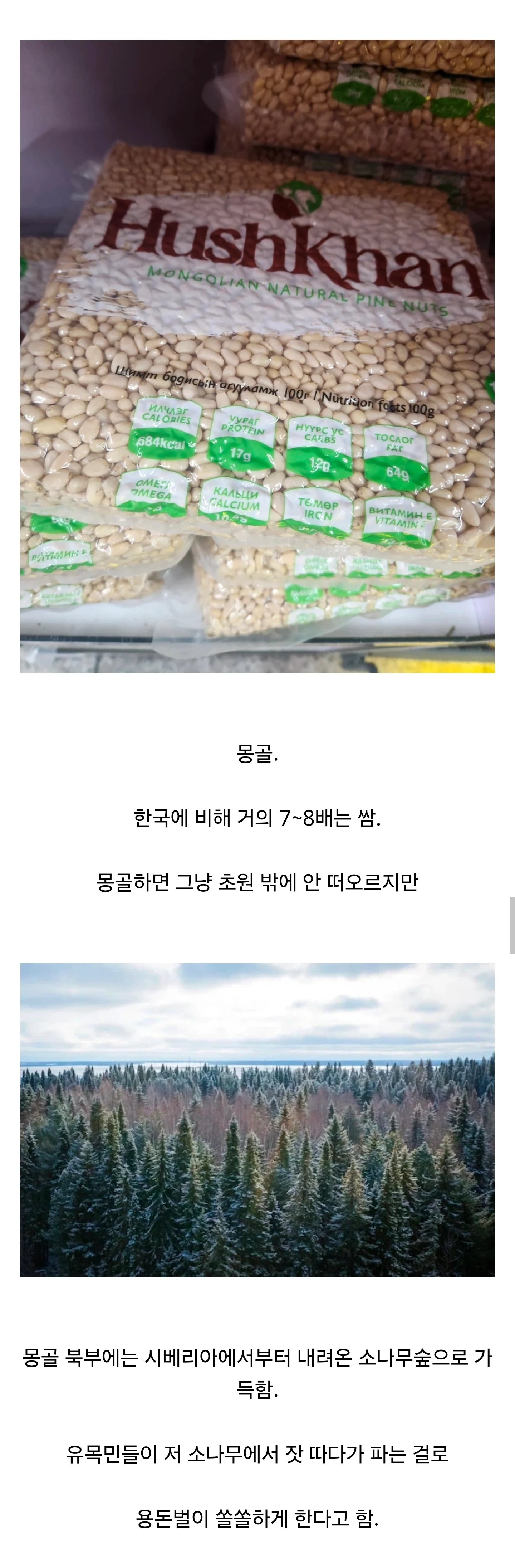 품질 좋은 잣을 싸게 살 수 있는 나라