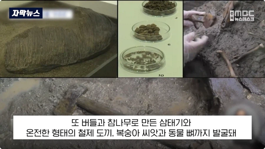 충주에서 1600년전 백제 유물 발견 (16)