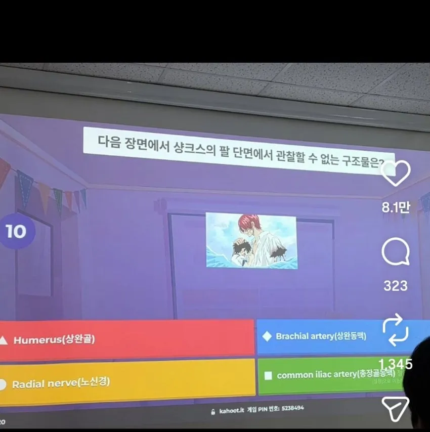 의대생들이 원피스 보는 방법