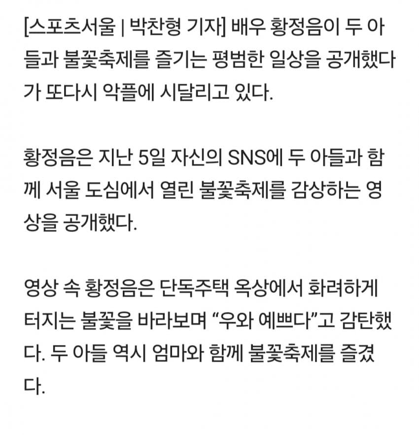 황정음 한강뷰 불꽃축제 자랑했다 봉변.. (2)
