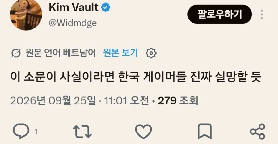 베트남인 : 배그 너희들은 1억인구의 시장을 잃었다 (2)