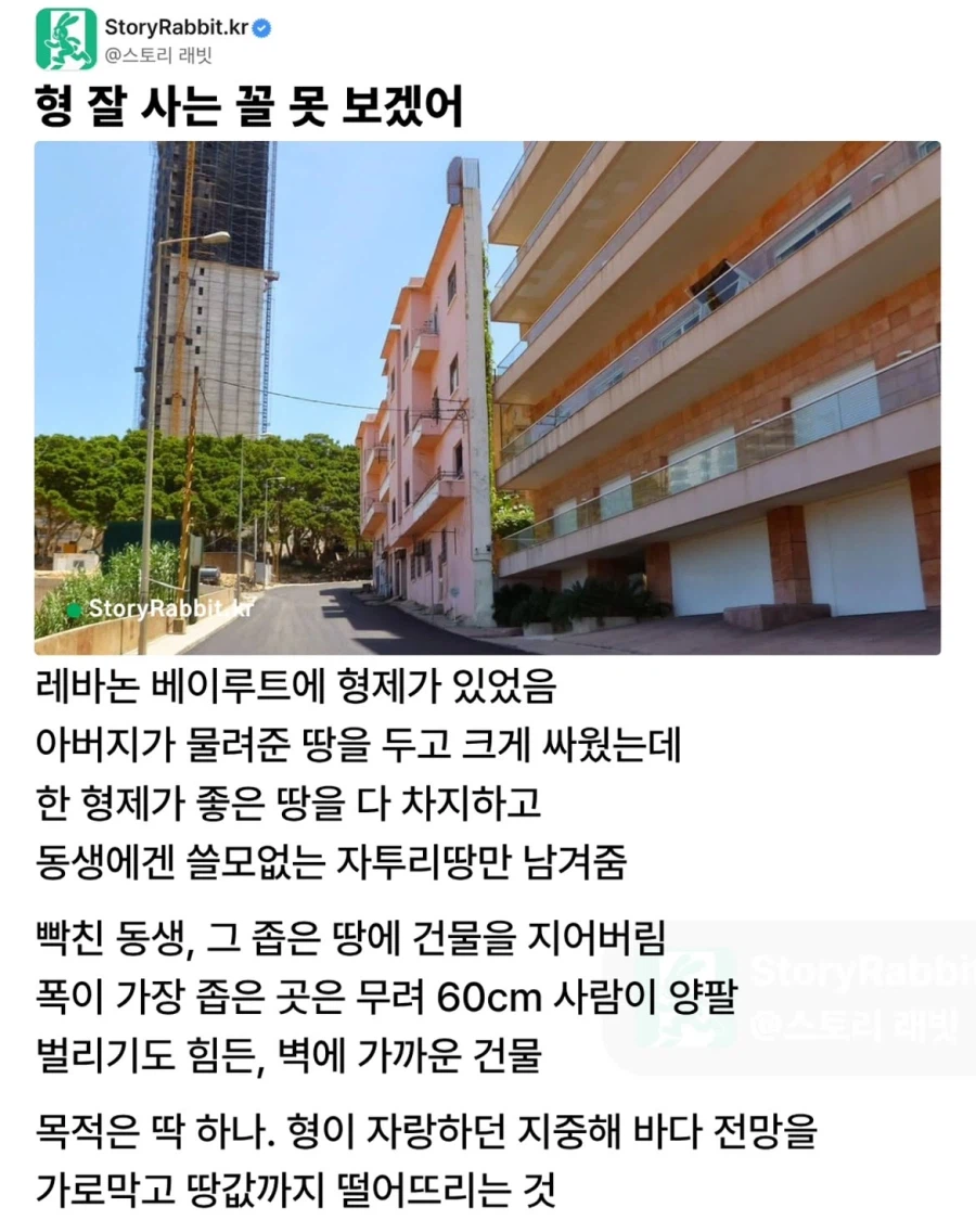 형 엿먹이려던 동생의 최후