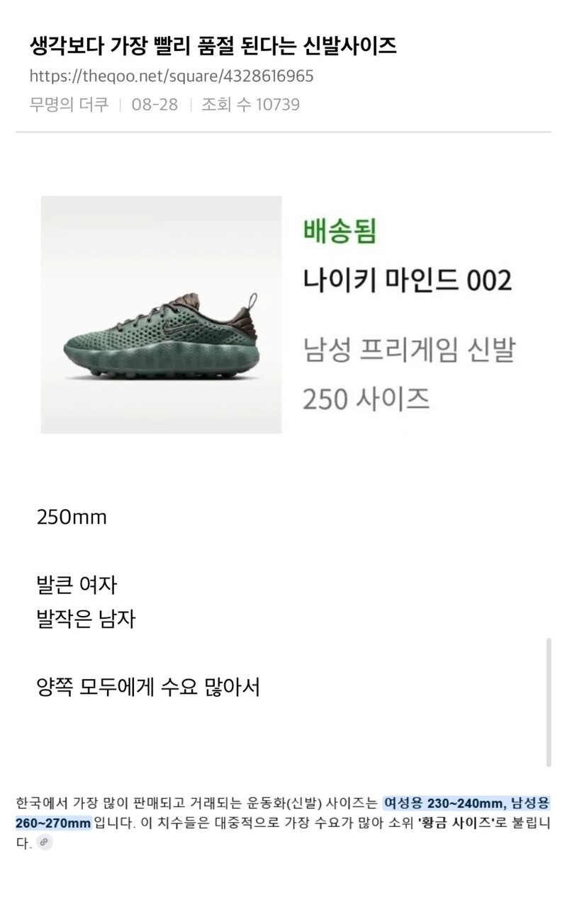 의외로 한국에서 가장 많이 팔린다는 신발 사이즈. (2)