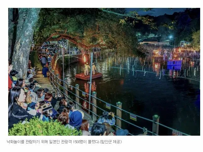 "이것 보러 한국 왔어요"…日 관람객 3년 새 3배 폭증한 '함안 낙화놀이' (2)