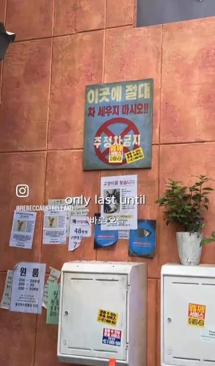 영국 금발 백인 여신과 함께 런던 콜옵 한국거리 팝업가보기. .. (44)