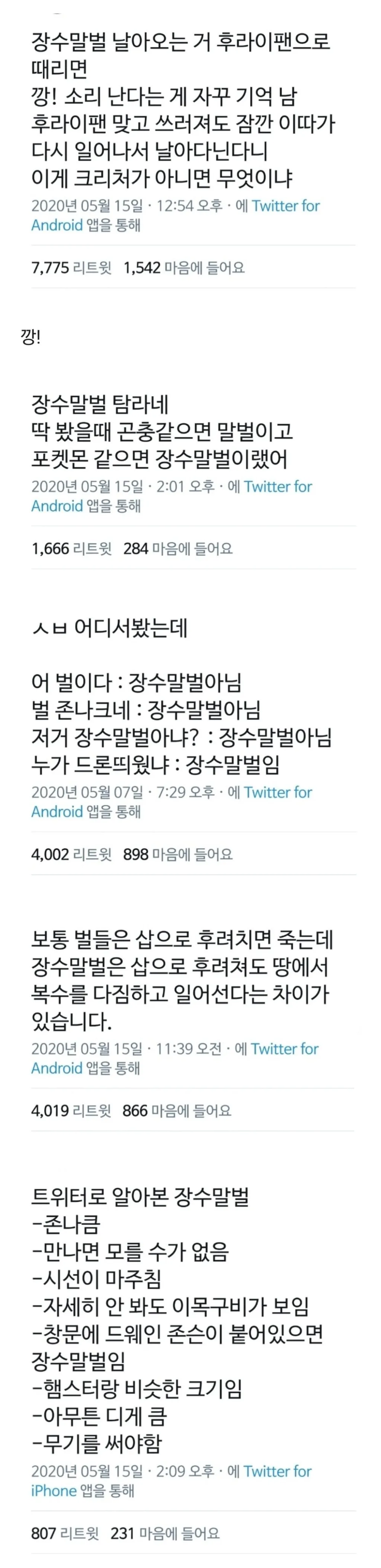 코 앞에서 본 장수말벌 실물