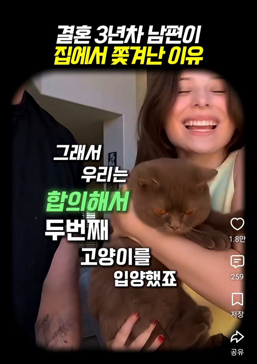 훌쩍훌쩍 부부의 반려동물 고르기촌 (6)