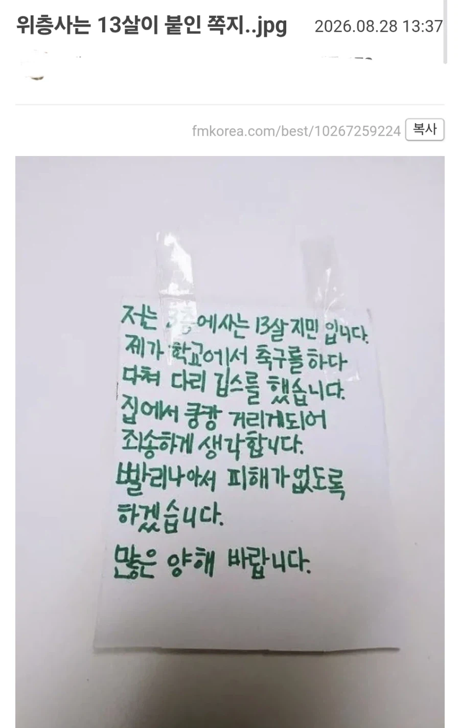 13살의 쪽지를 보고 추억에 잠긴 펨붕이